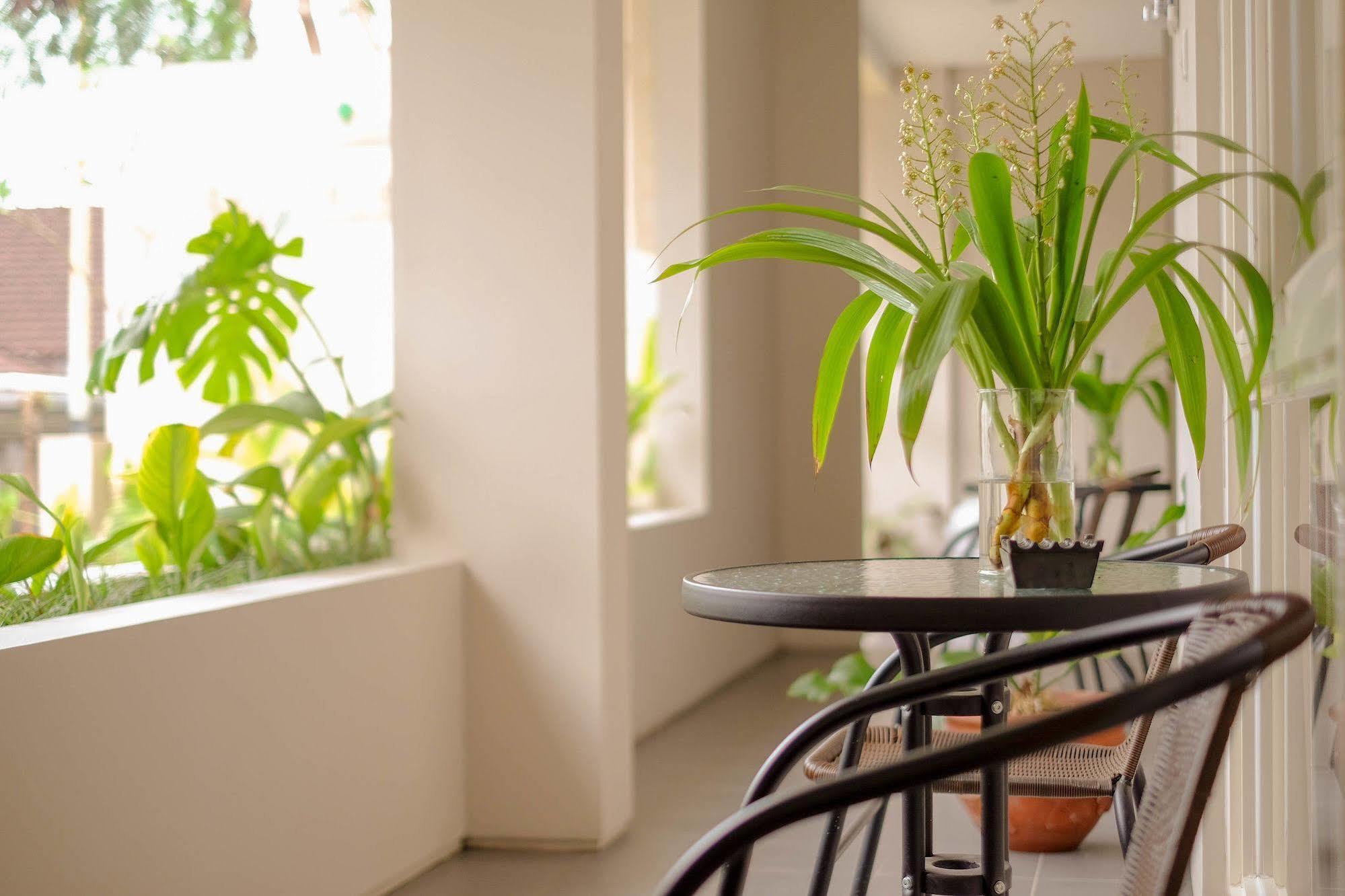 Bali True Living Aparthotel Denpasar Kültér fotó