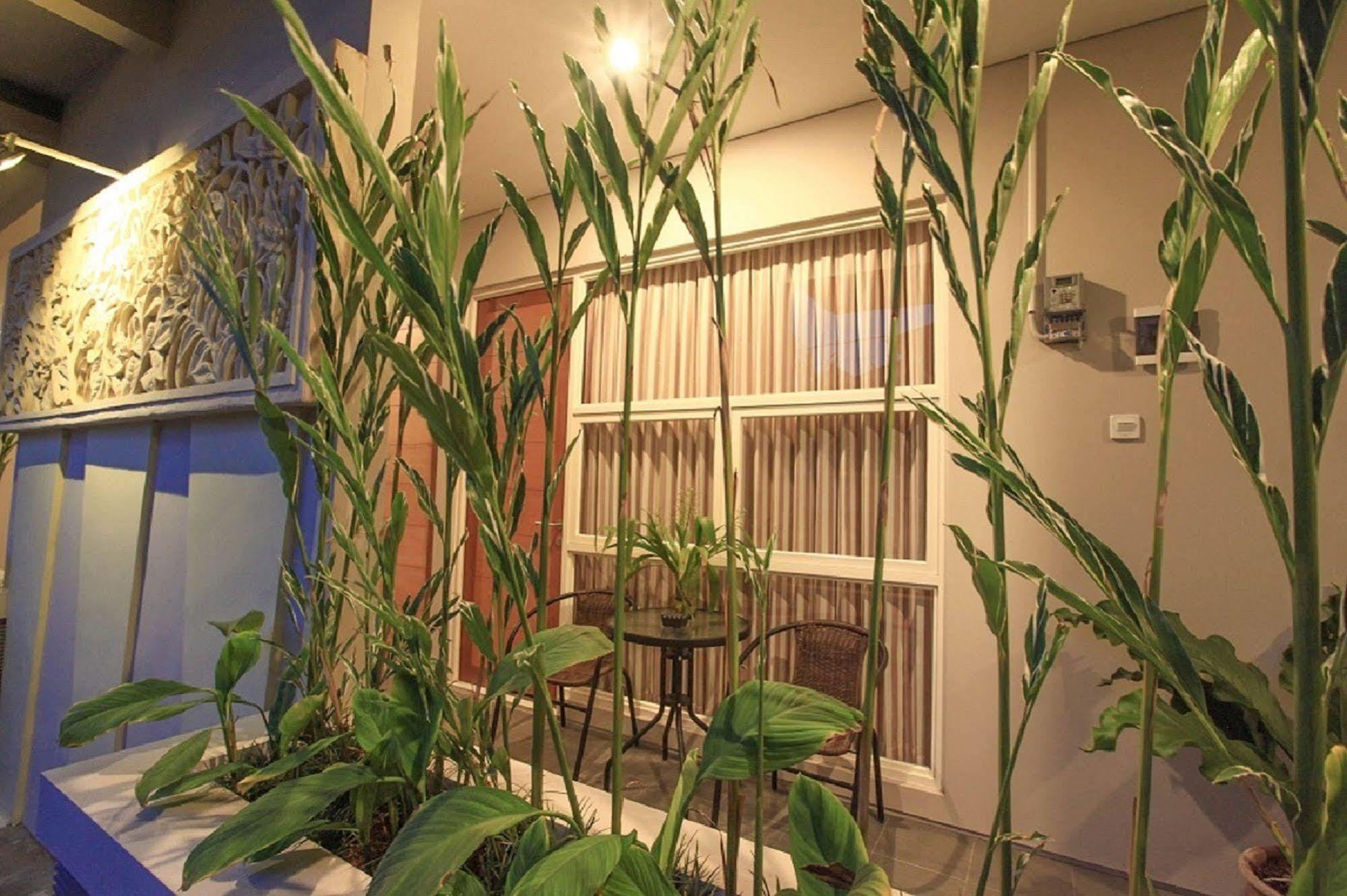 Bali True Living Aparthotel Denpasar Kültér fotó